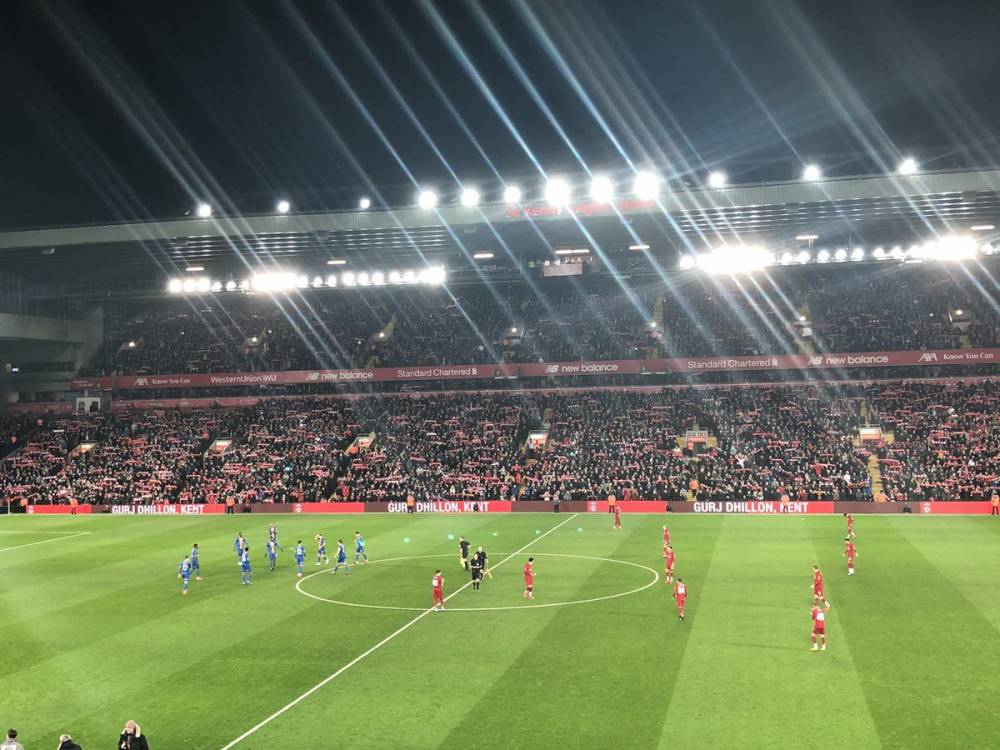 为他提供了 为他提供了